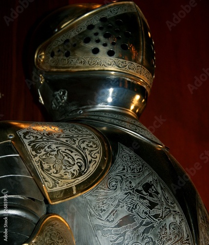 protective knight