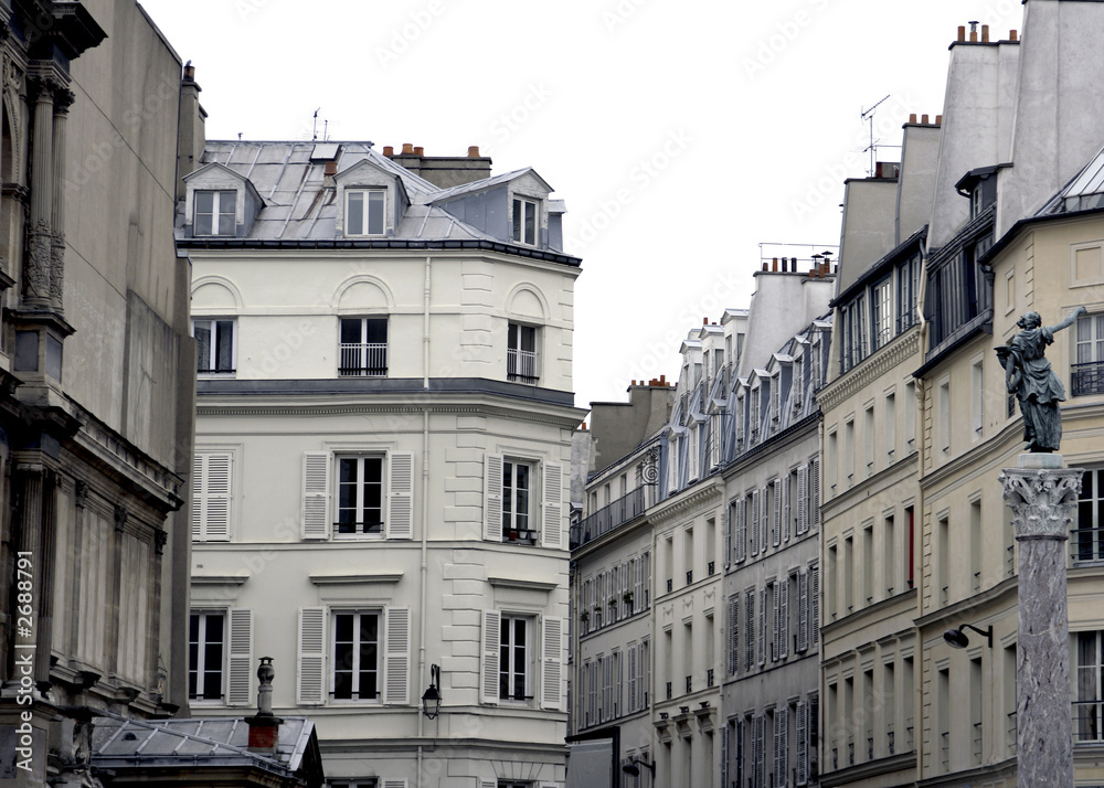 Fototapeta premium the elegance that is paris france