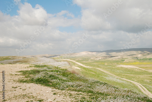 negev desert