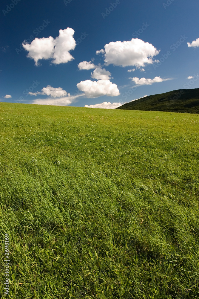 Obraz premium summer abstract landscape