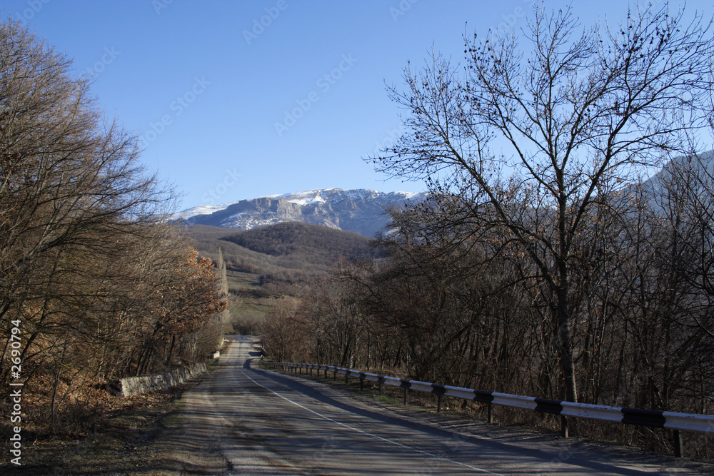 Fototapeta premium road to mountains