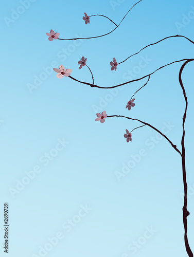 cherry tree illustration