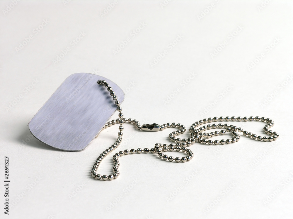 custom made wallpaper toronto digitaldog tag