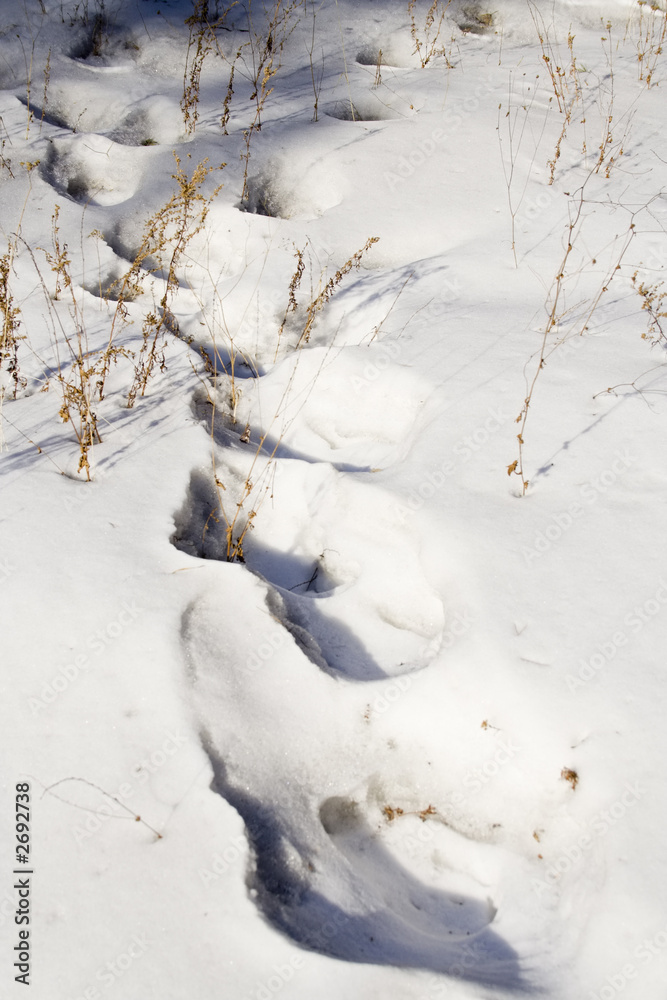 old human footprint in the deep snow old human footprint in the deep snow