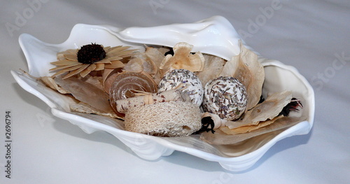 soap in a shell dish