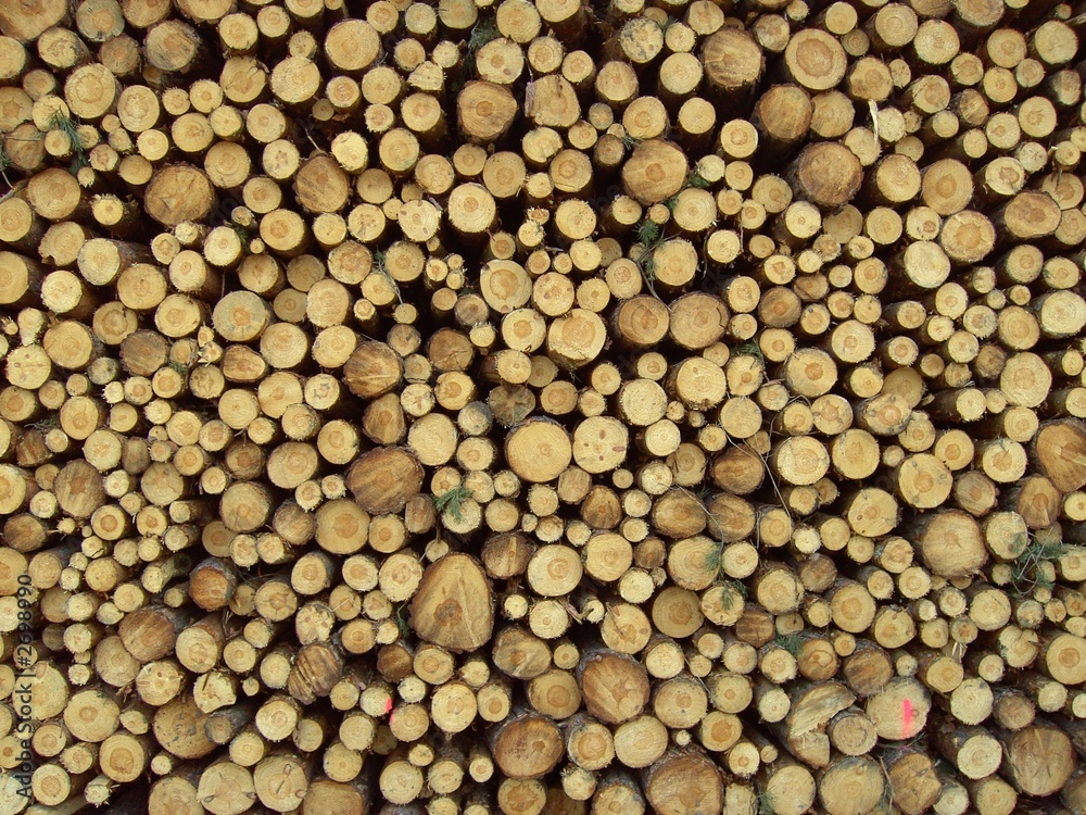 holzstapel 9