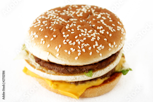  beef burger with cheese