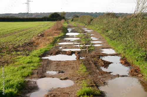 Εκτύπωση καμβά muddy country path with big puddles