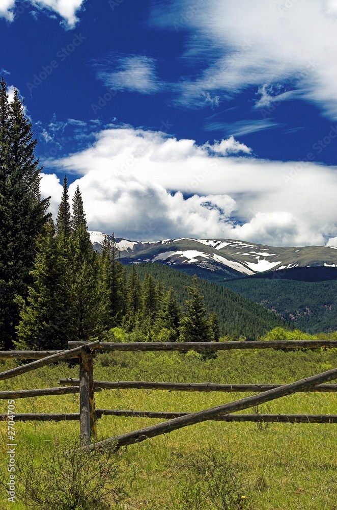 Colorado Mountain Pasture