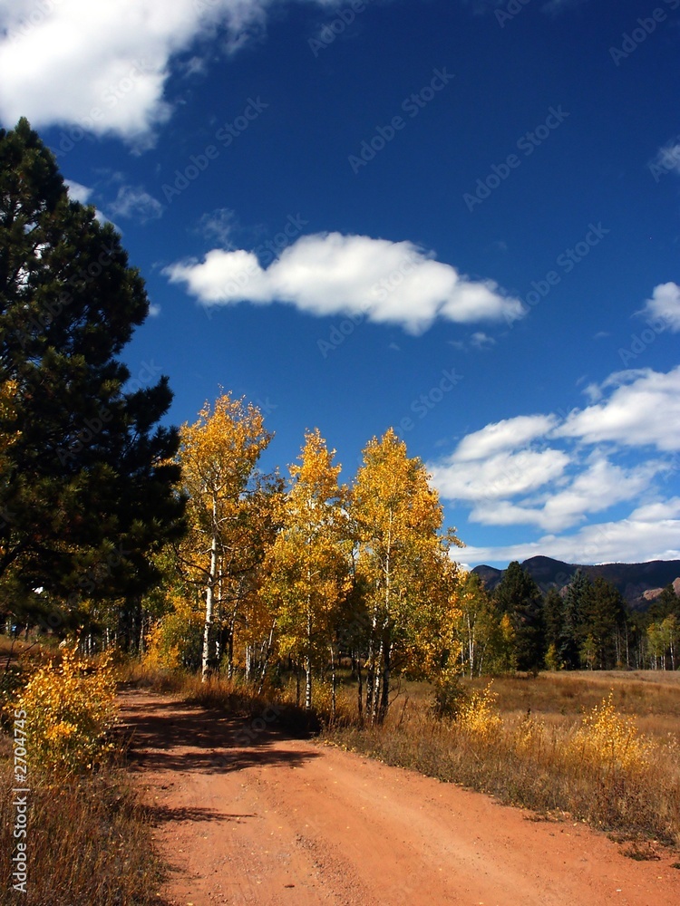 Autumn Country Dirt Road in Colorado