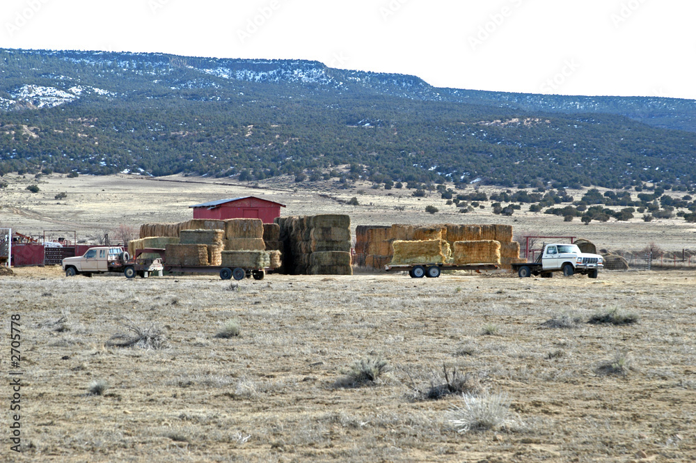 Naklejka premium ranch hay iii