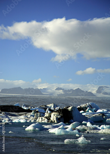 icebergs with the glacier in the distance
