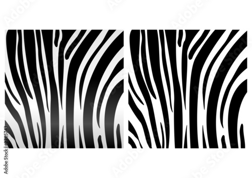 animal_skin_zebra