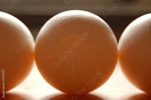 broken egg