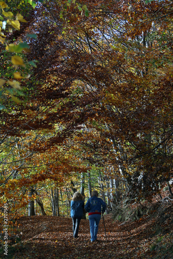 Obraz premium autunno 5