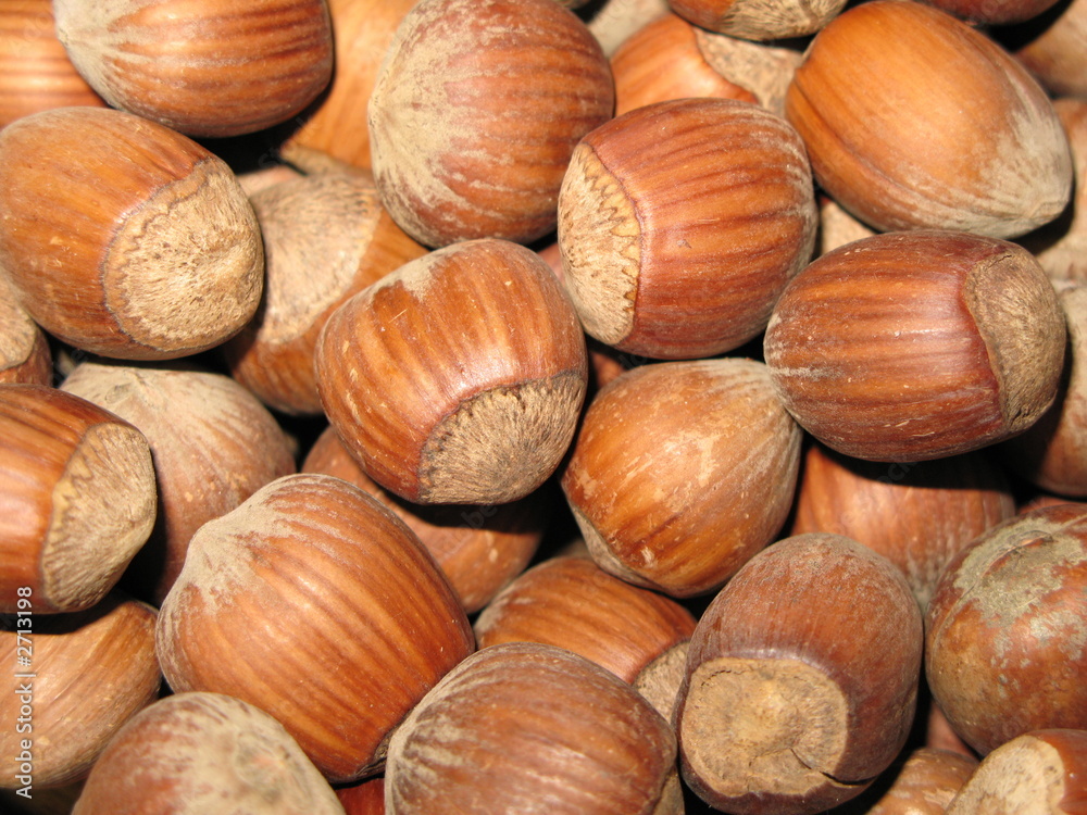 nocciole nocciole