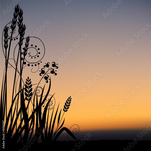 floral scenery 05