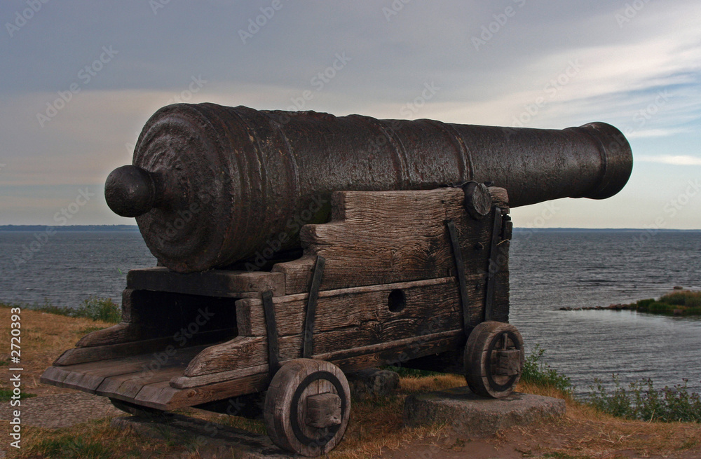 cannon of kalmar castle