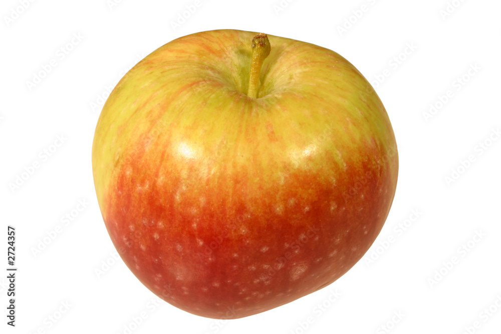english apple isolated on a white background english apple isolated on a white background
