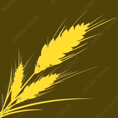 wheat (path)