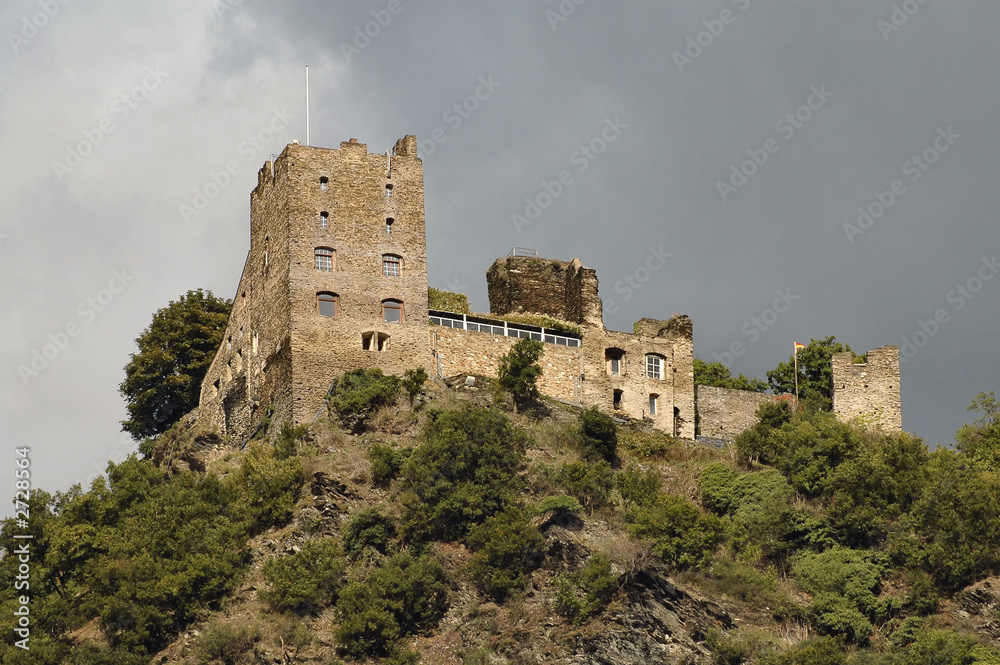 Fototapeta premium rhine river castle - germany