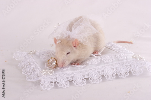 rat-bride