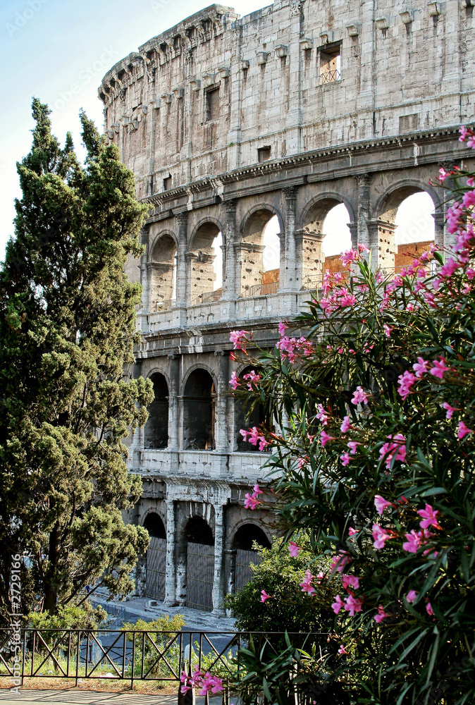 Obraz premium colloseum in Rom zwischen Blumen
