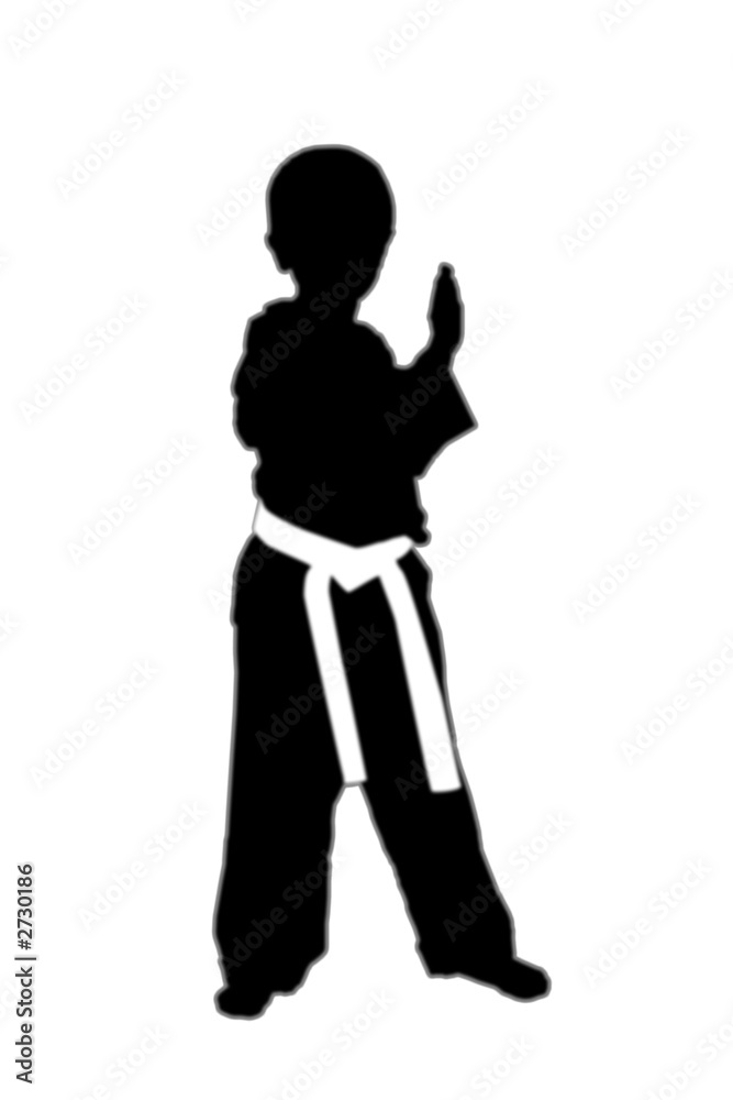 kid in taekwondo