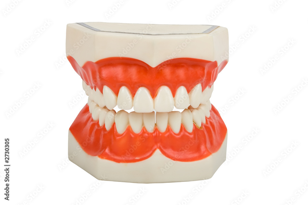 Obraz premium dentures, dental prosthesis