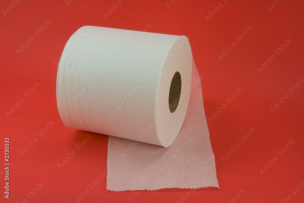 Obraz premium toilet paper
