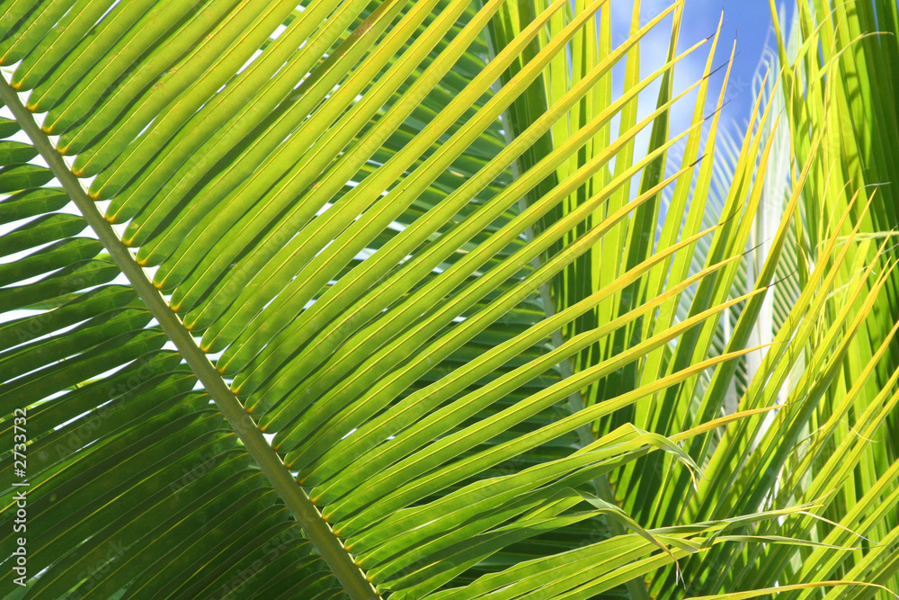 Fototapeta premium secret beach