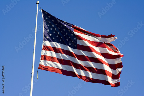 independence day flag