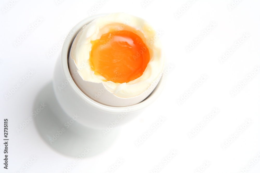 egg