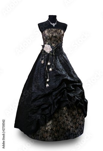 Fotografie, Tablou evening dress black