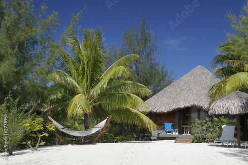 thatched roof hut and hammock