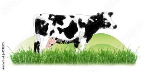 cow