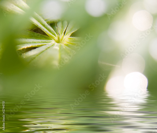 abstract picture of a nature