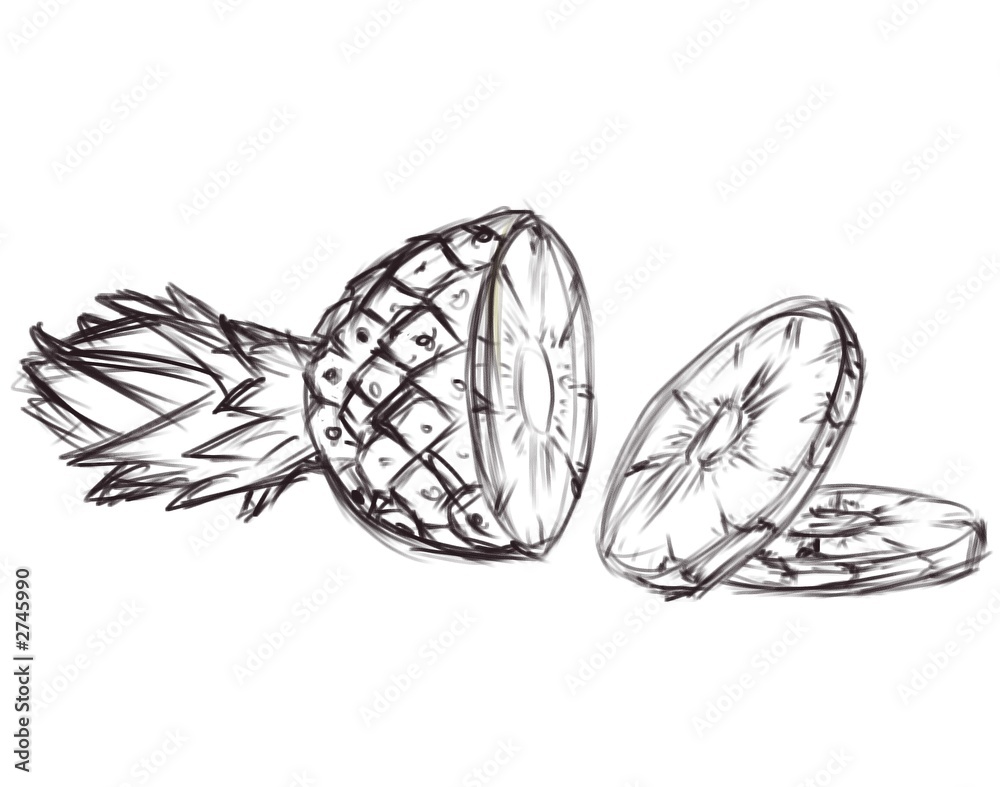 illustration of pineapple. sketch illustration of pineapple. sketch