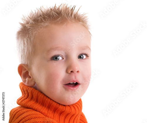 cheeky little fellow photo