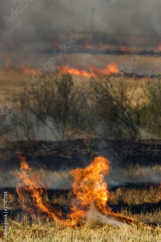 burning field © Stefan Andronache