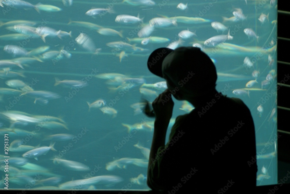 Obraz premium boy contemplating moving fish