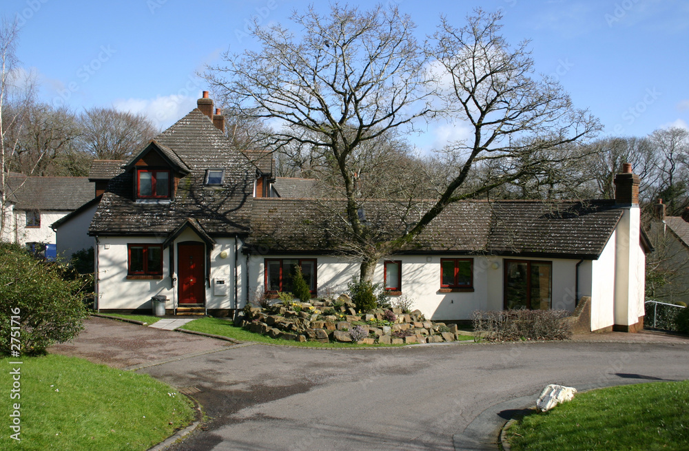 bungalow and tree