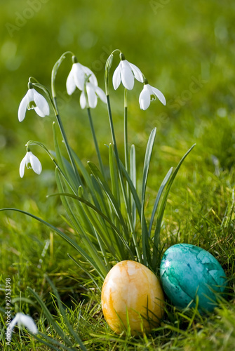 ostereier und frühlingsblumen