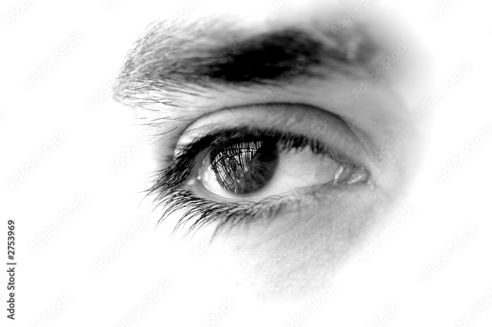 Fototapeta premium ojo masculino