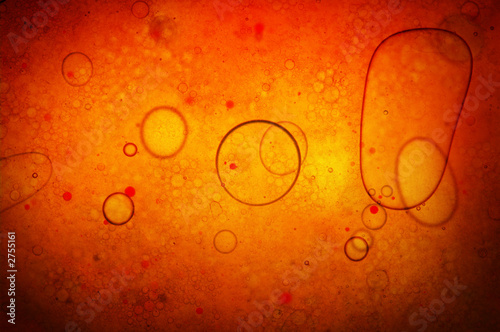 microscopic structures and bubbles