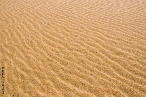 dunes © Stanislav Komogorov