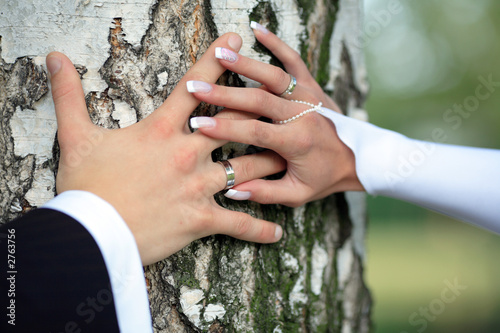 hands