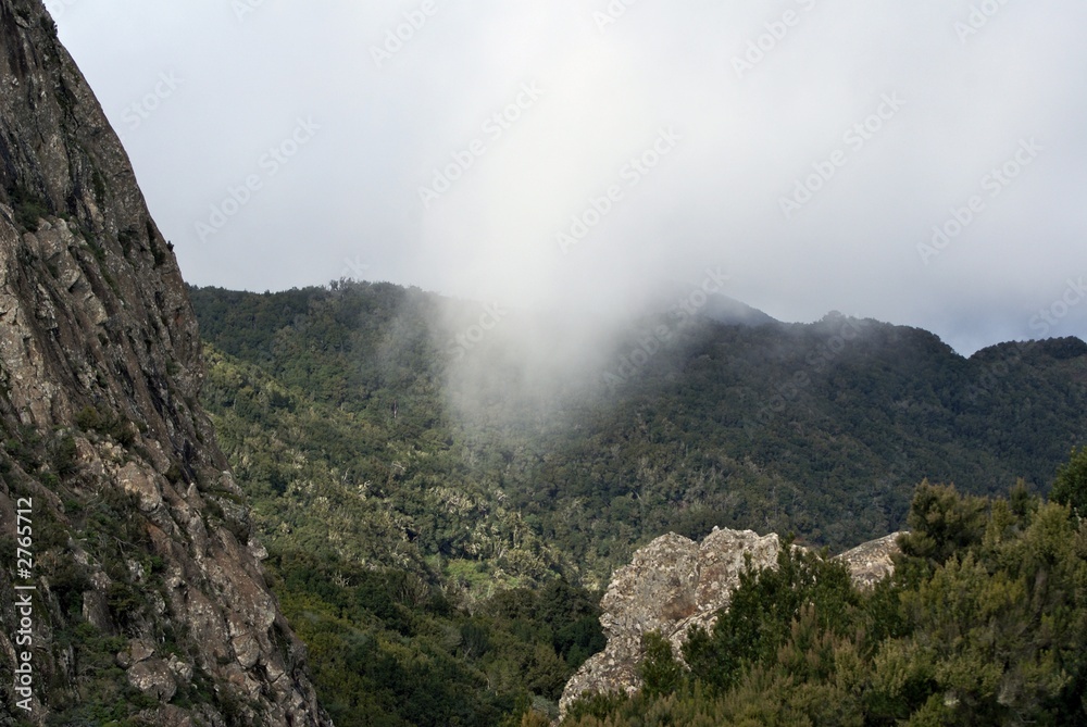 rain fountain in the mountains in la gomera rain fountain in the mountains in la gomera