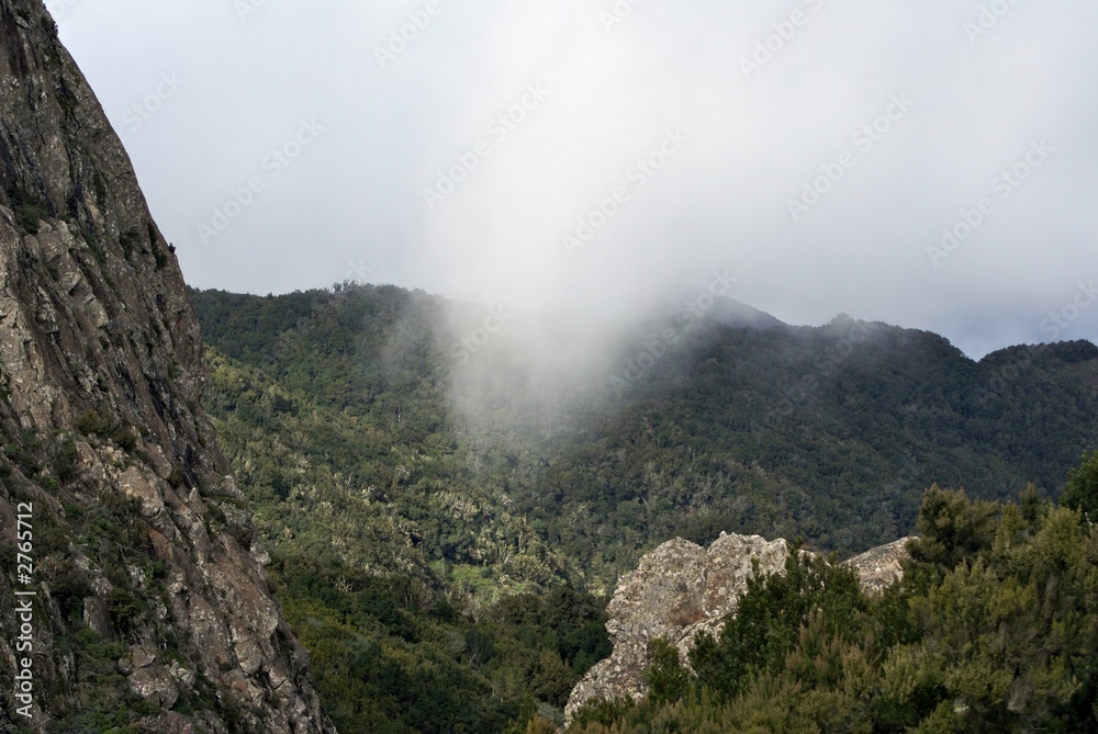 rain fountain in the mountains in la gomera