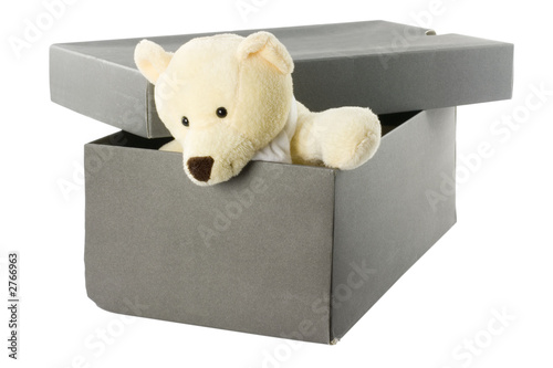 teddy bear in a shoebox photo
